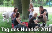 tag_des_hundes